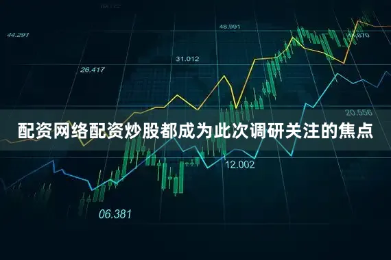 配资网络配资炒股都成为此次调研关注的焦点