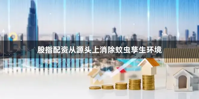 股指配资从源头上消除蚊虫孳生环境
