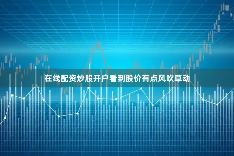 在线配资炒股开户看到股价有点风吹草动