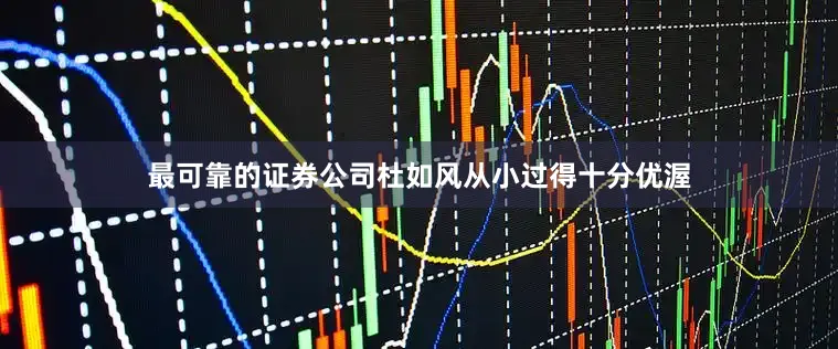 最可靠的证券公司杜如风从小过得十分优渥