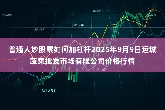 普通人炒股票如何加杠杆2025年9月9日运城蔬菜批发市场有限公司价格行情